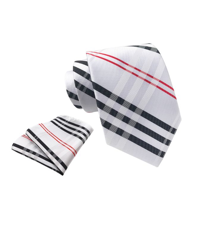 Hvidt og Rødt Ternet Slips
